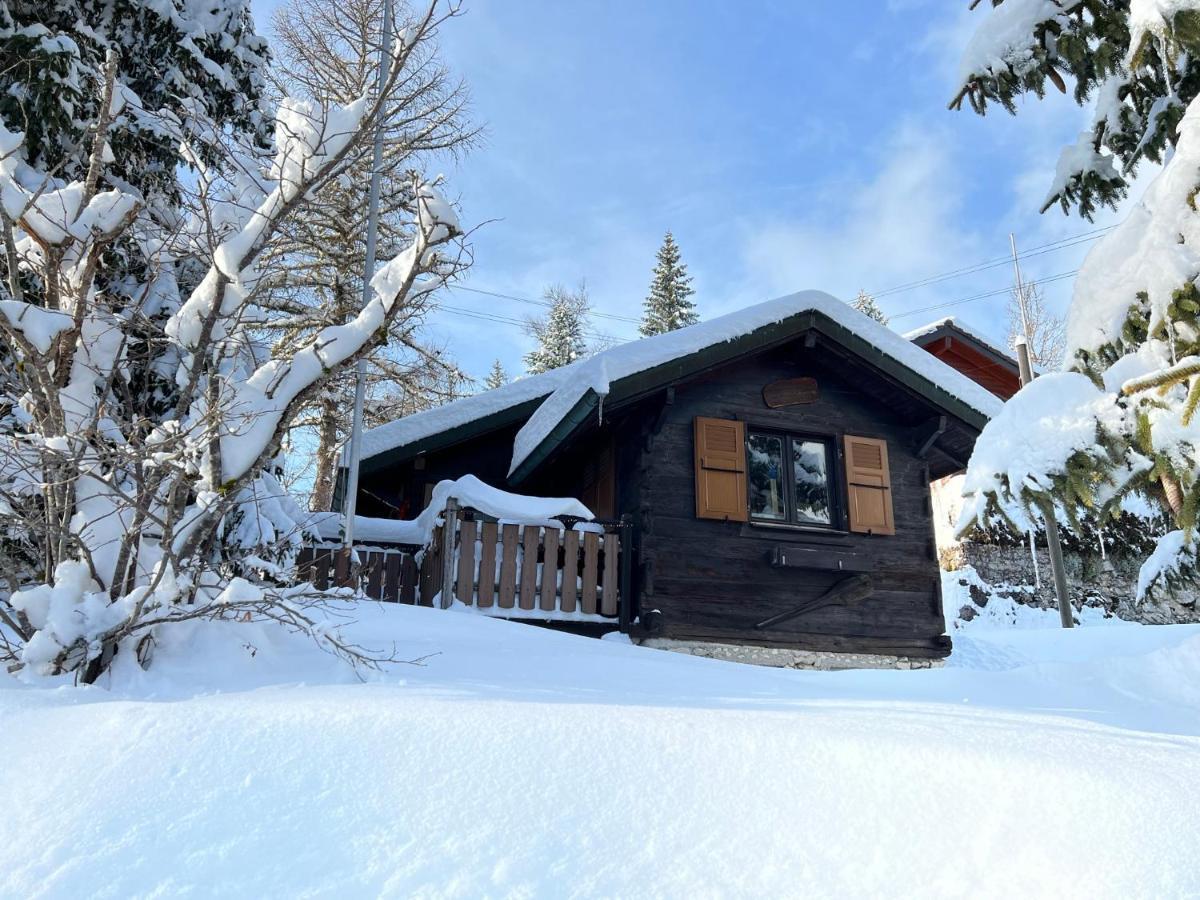 Entire Cozy Chalet In St-Cergue - 30 Min From Geneva Saint-Cergue Extérieur photo