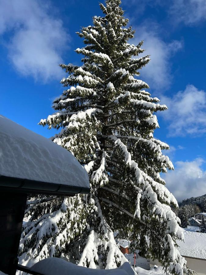 Entire Cozy Chalet In St-Cergue - 30 Min From Geneva Saint-Cergue Extérieur photo