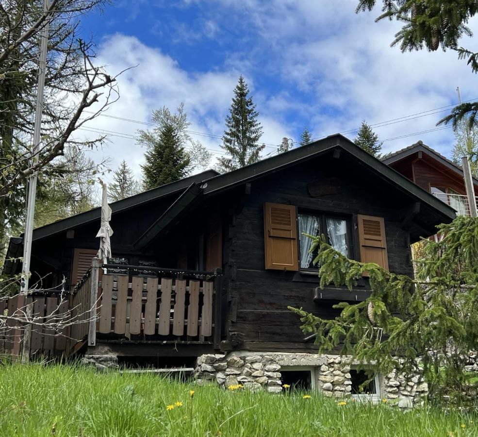 Entire Cozy Chalet In St-Cergue - 30 Min From Geneva Saint-Cergue Extérieur photo